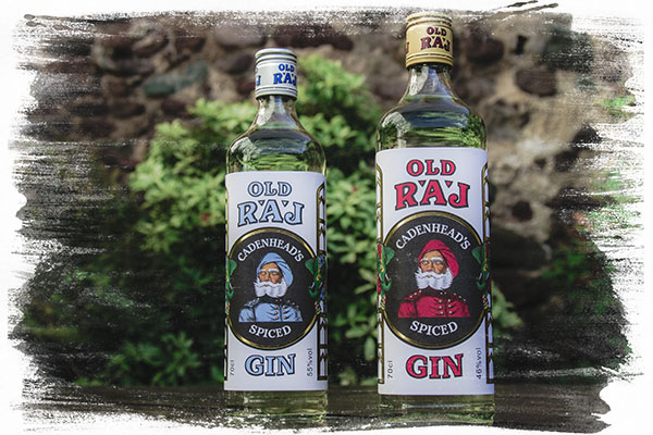 spiced-gin